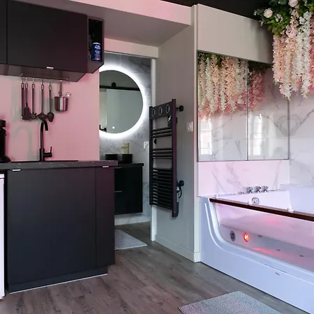 Appartement Superbe Avec Balneotherapie/spa/ Champagne