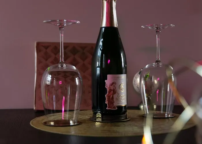 Apartman Superbe Avec Balneotherapie/spa/ Champagne *